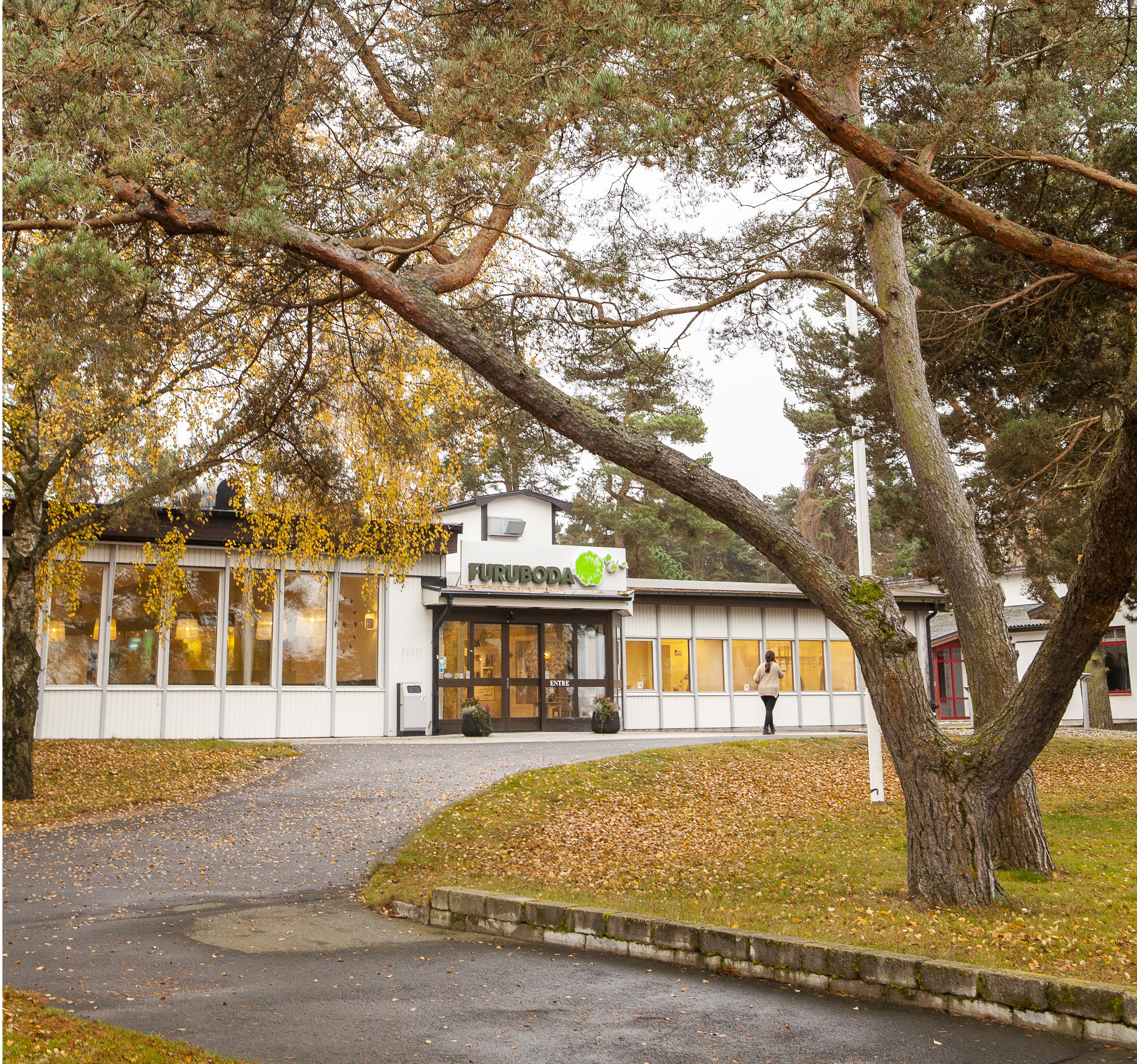 En tall och en väg upp mot Furubodas entré